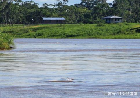亚马逊河是世界第二长河(亚马逊河是世界上流量最大的河流吗)