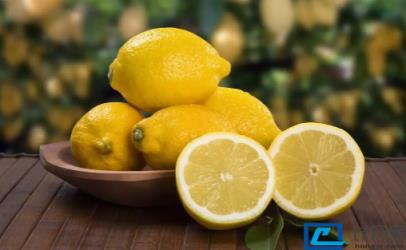 冬枣和柠檬哪个含维生素c多(冬枣比柠檬维生素C含量高吗)
