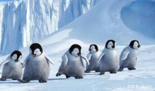 企鹅主要生活在南极(在所有的南极居民中什么是企鹅的天敌)