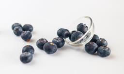 新鲜蓝莓长期保存方法