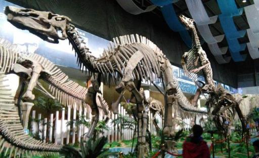 中华恐龙园和常州恐龙园有什么区别(中外闻名的常州恐龙园)