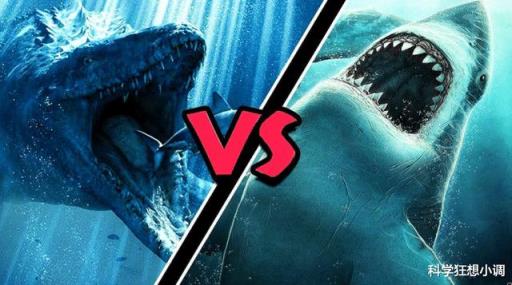 巨齿鲨vs沧龙视频(巨齿鲨vs沧龙vs大白鲨)