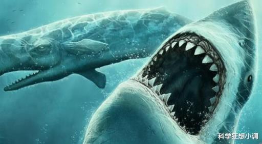 巨齿鲨vs沧龙视频(巨齿鲨vs沧龙vs大白鲨)