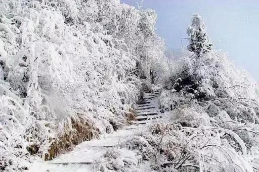 彭州九峰山风景区有雪吗(成都彭州九峰山下雪了吗)