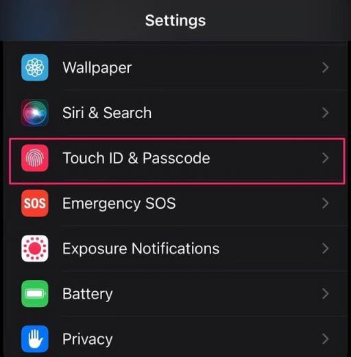 如何在 iPhone 和 iPad 上打开隐私屏幕
