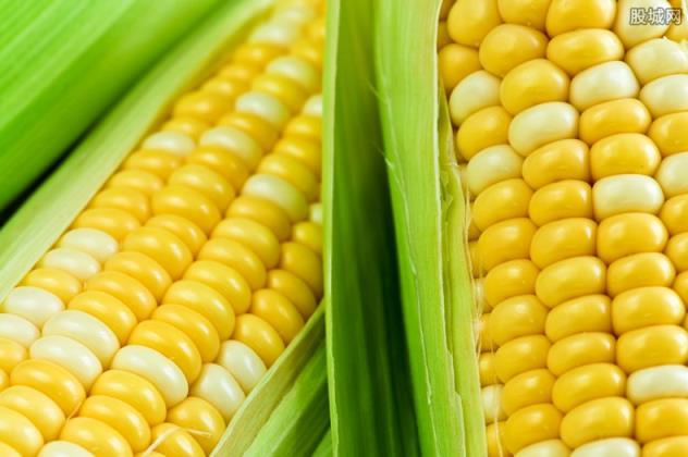 农民日报评一根玉米卖6元(农民是否能从中获益？)