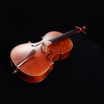 大提琴几岁开始学最好14岁学大提琴适合吗(大提琴几岁开始学最好)
