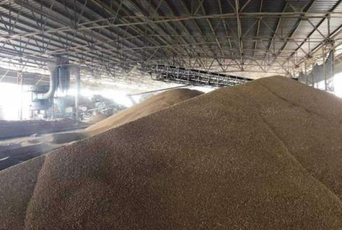2023年小麦收购价是多少？小麦每斤多少钱？