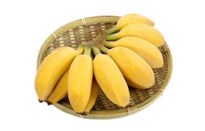 香蕉蒸着吃的功效与作用(香蕉怎么蒸着吃的做法)