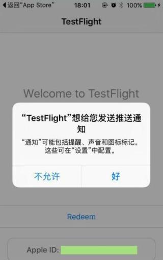 testflight邀请码怎么填写方法(testflight兑换码大全 成人)