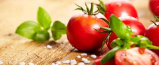 没成熟的青西红柿能吃吗？未成熟的番茄为什么不能吃
