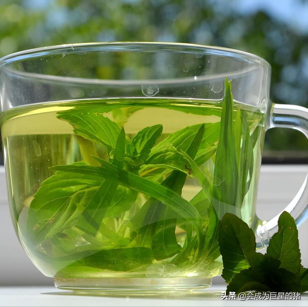 高段位绿茶表现形式(高段位绿茶具备6种品质)