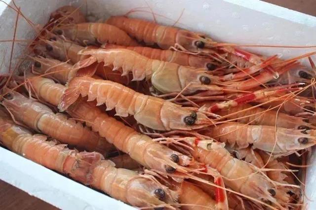 海虾种类大全图片名称(常见的海虾品种及价格)