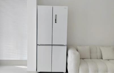 新冰箱需要插电验货吗(新冰箱插了一下电没事儿吧)