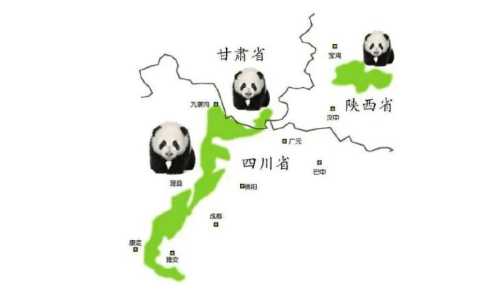 大熊猫生活在什么地方[大熊猫的主要栖息地在哪里]