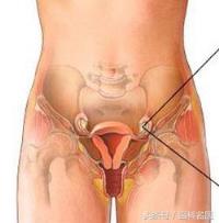 女性卵巢功能衰退表现有哪些(卵巢衰老的10大征兆解析)